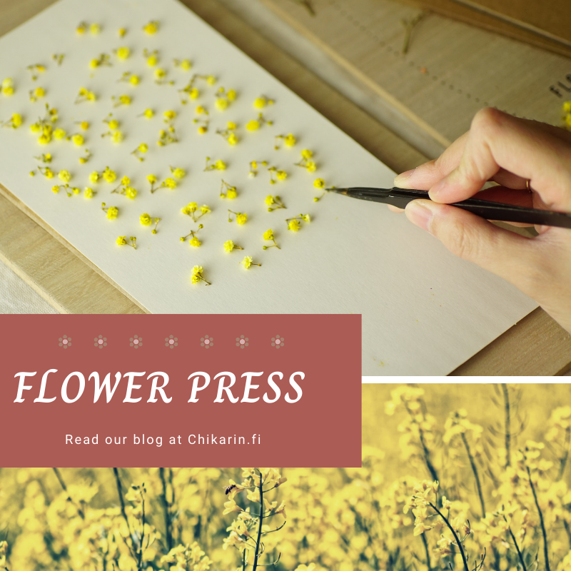 Method for Drying Flowers Part 2