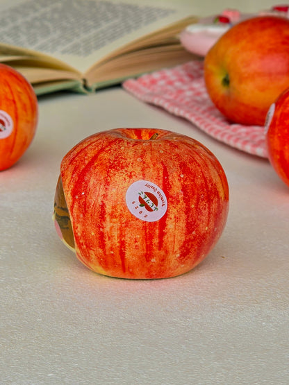 Salt and pepper shaker apple nekochan Kento